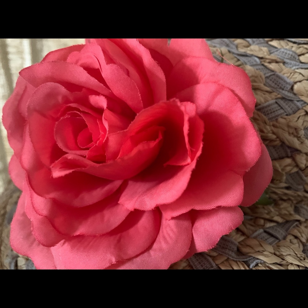 Meet your Posher, Rosa Jean